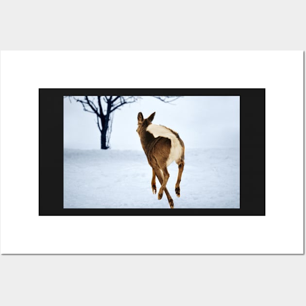 White Tailed Deer In Flight... Wall Art by LaurieMinor